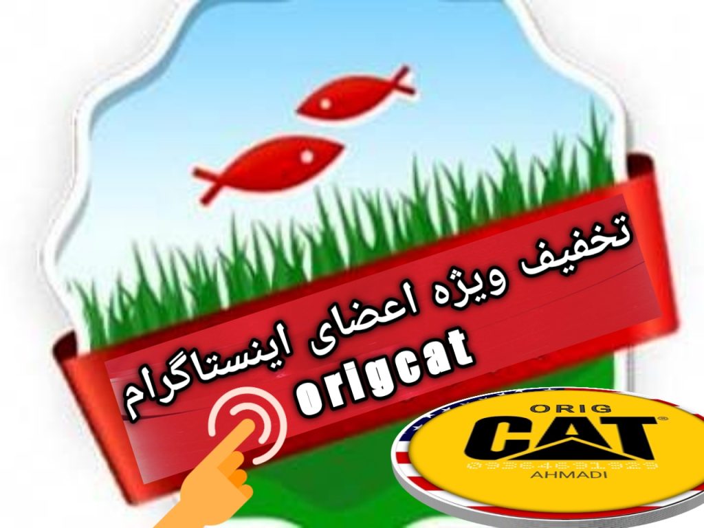 نمایندگی کفش کاترپیلار